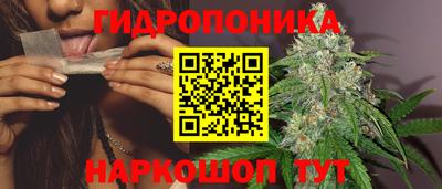 дмт Долгопрудный
